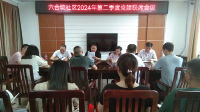 六合垸社区召开2024年第二季度党建联席会