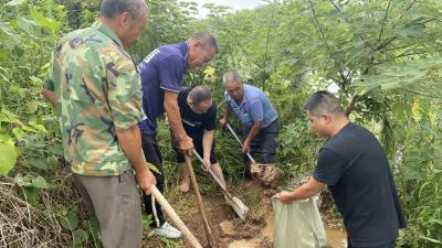 党员冲在一线，筑牢防汛“红色堤坝”