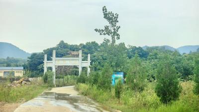 马口镇桐木湖村福寿园公益性公墓建设正在悄然提速
