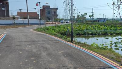 道路交通焕新颜，共绘美好家园新画卷