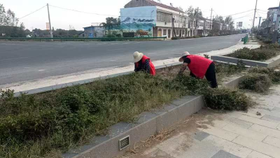 【清洁家园】中洲农场：乡贤助力 共建美好靓丽家园