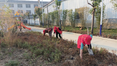 【清洁家园】干干净净迎国庆，扮靓社区展新颜