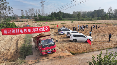 麻河镇召开耕地恢复现场推进会
