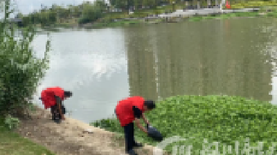 守护涵闸河畔，巡河护河行动显成效