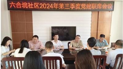 六合垸社区召开第三季度党建联席会