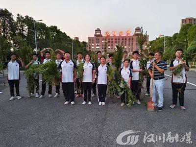 “加拿大一枝黄花？拔了它！”