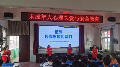 未成年人心理关爱与安全教育走进麻河镇中学