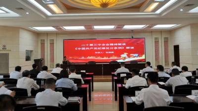 国网汉川市供电公司深入学习贯彻党的二十届三中全会精神