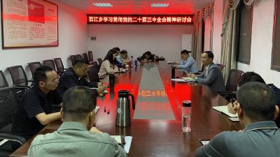 西江乡召开学习贯彻党的二十届三中全会精神研讨会