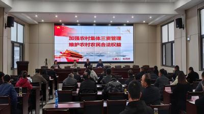 麻河镇召开农村集体“三资”管理业务培训会