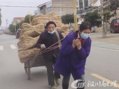 指尖技艺“编”出致富路
