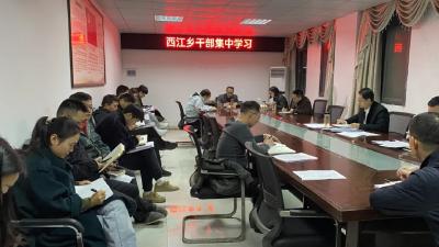 西江乡组织召开党政联席会议