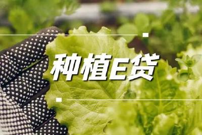 孝感汉川支行积极推广“种植e贷”助力乡村振兴
