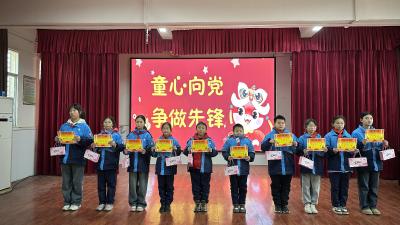 童心向党筑梦行 少年先锋展风采