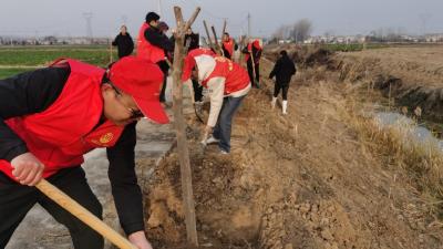 湾潭乡：增添浪漫“紫薇” 共建绿美乡村