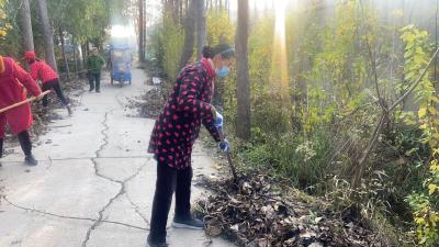 村门口的“行动派” 焕新街道高颜值