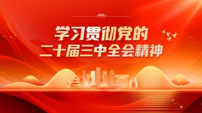 汉川市自然资源和规划局举办学习贯彻党的二十届三中全会精神暨基层党建活动