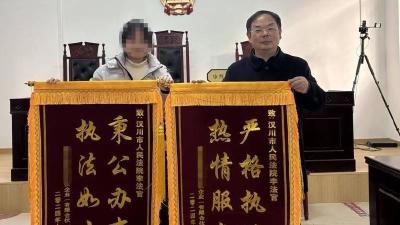 巧用支付令，20起案件止于诉前