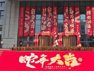视频 | 汉川工农业产品共享工厂店 2025新春赶大集开启！市民可一站式采购年货