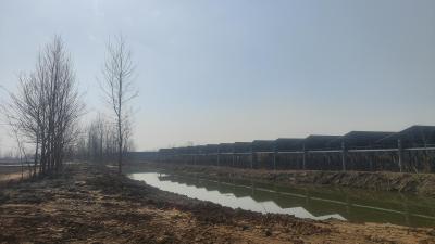 南河乡何畈村：冬修水利忙清淤 保障春耕惠民生  