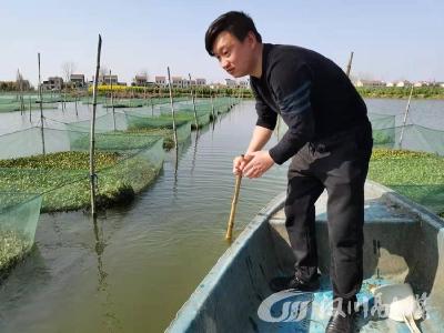 分水镇：从“新”出发 产业高地建设提质增效