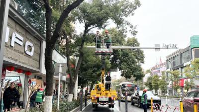 4600余株行道树集体“理发”      