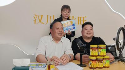 脉旺这位村书记是短视频中的大爷，也是直播带货的主播