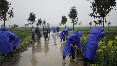 共植绿色希望，共建美丽家园