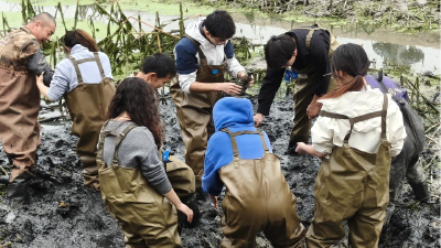 宝藏小镇“藕”遇热血青年：一场情牵两岸的青春之约