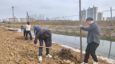 春风添新绿，共建生态村——城隍镇卫生院参与义务植树共建美丽乡村