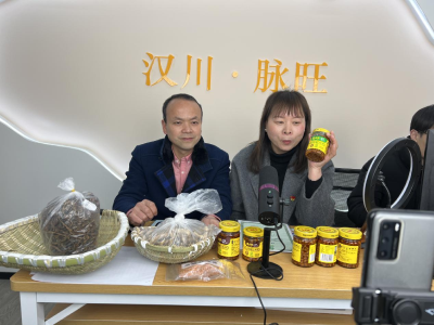 变身主播，村书记助力“三农”
