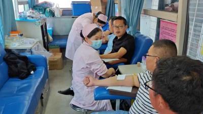 热血传真情，爱心满杨林——汉川市2025年无偿献血活动拉开序幕