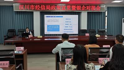 汉川市经信局：开展银企对接，政策赋能发展