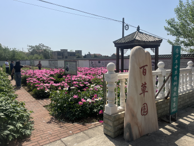 百草园里品药香 中医文化润民心