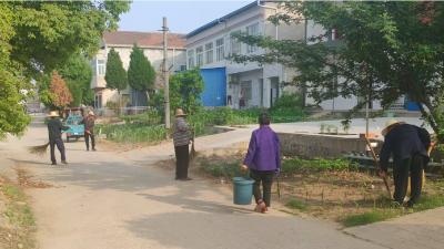 杨林沟镇：全域整治焕新颜 长效治理谱新篇