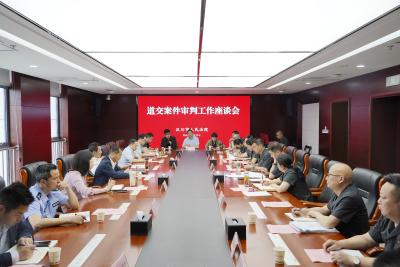 聚力破难题 合心化路讼  ——汉川法院召开道交事故责任审理工作座谈会