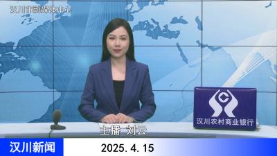 汉川新闻20250415