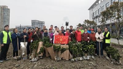 “种下一棵树，就是为大地增添一抹绿色”