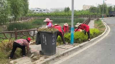 汈东街道开展“清洁家园 美化环境”志愿服务活动