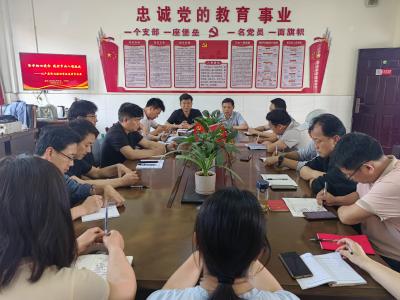 汉川市麻河小学党支部开展四月主题党日活动