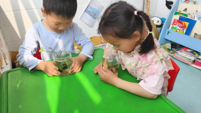 科学萌趣启智，童心邂逅自然之美