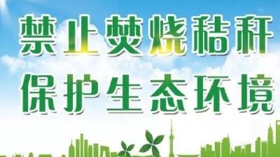 防范于未“燃” 筑牢秸秆禁烧“防火墙”