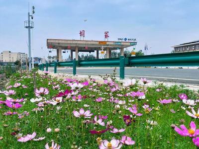 美化环境焕新颜   一路繁花伴君行