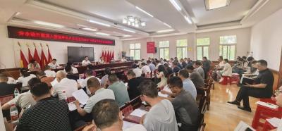 分水镇召开2025年党员干部警示教育大会