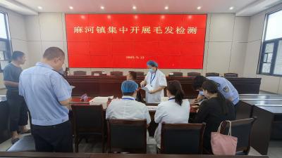麻河镇开展公职人员毛发毒品检测