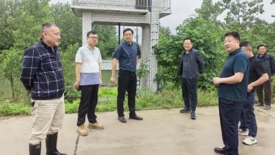 湾潭乡全面开展汛前检查 织密筑牢防汛安全网