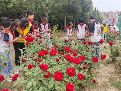 夏日课堂“绽放”在花丛中