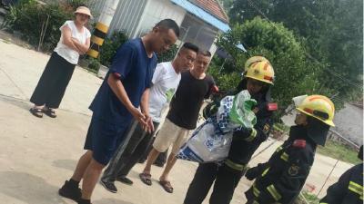 汉川脉旺惊现1.5米乌梢蛇！