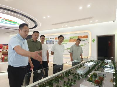 汉川驻东莞招商专班与鑫鑫农业集团开展交流活动