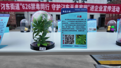 【视频】汈东街道：创新禁毒宣传形式 提升群众防毒“免疫力”